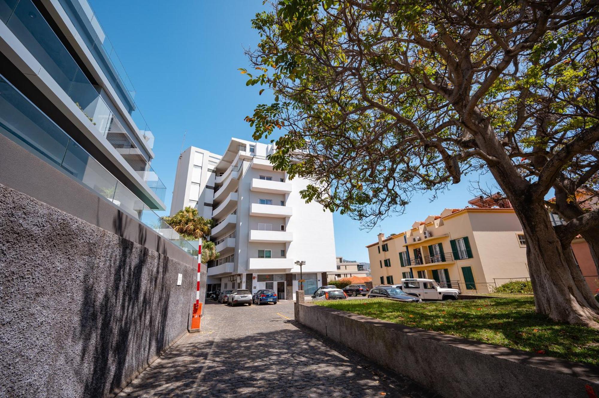 Jasmineiro Serra - Ocean View Studio Funchal  Exteriör bild